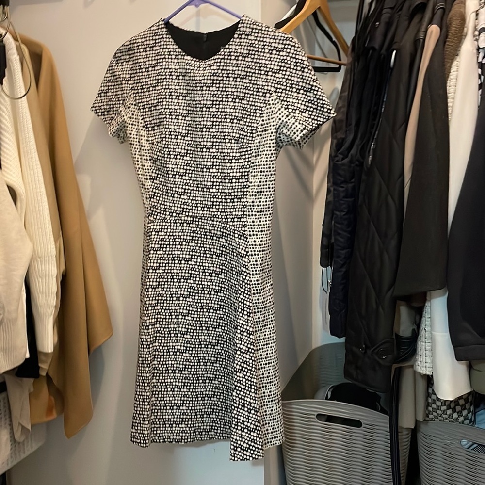 Black and White Banana Republic Dress